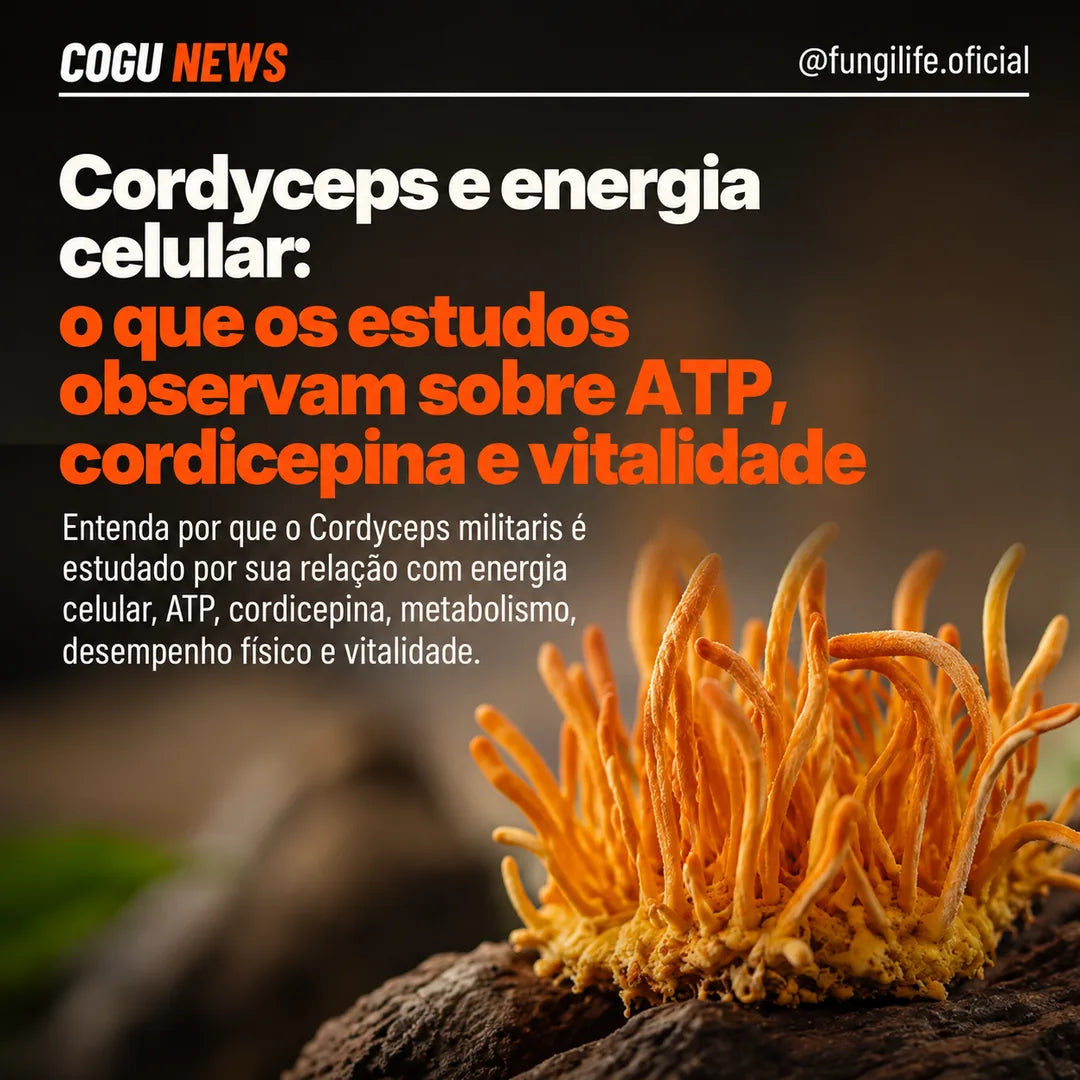 Cordyceps: energia e desempenho sob o olhar da ciência