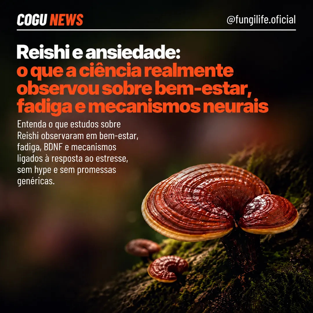 O cogumelo que "acalma o espírito": o que a ciência realmente observou sobre Reishi, fadiga e ansiedade