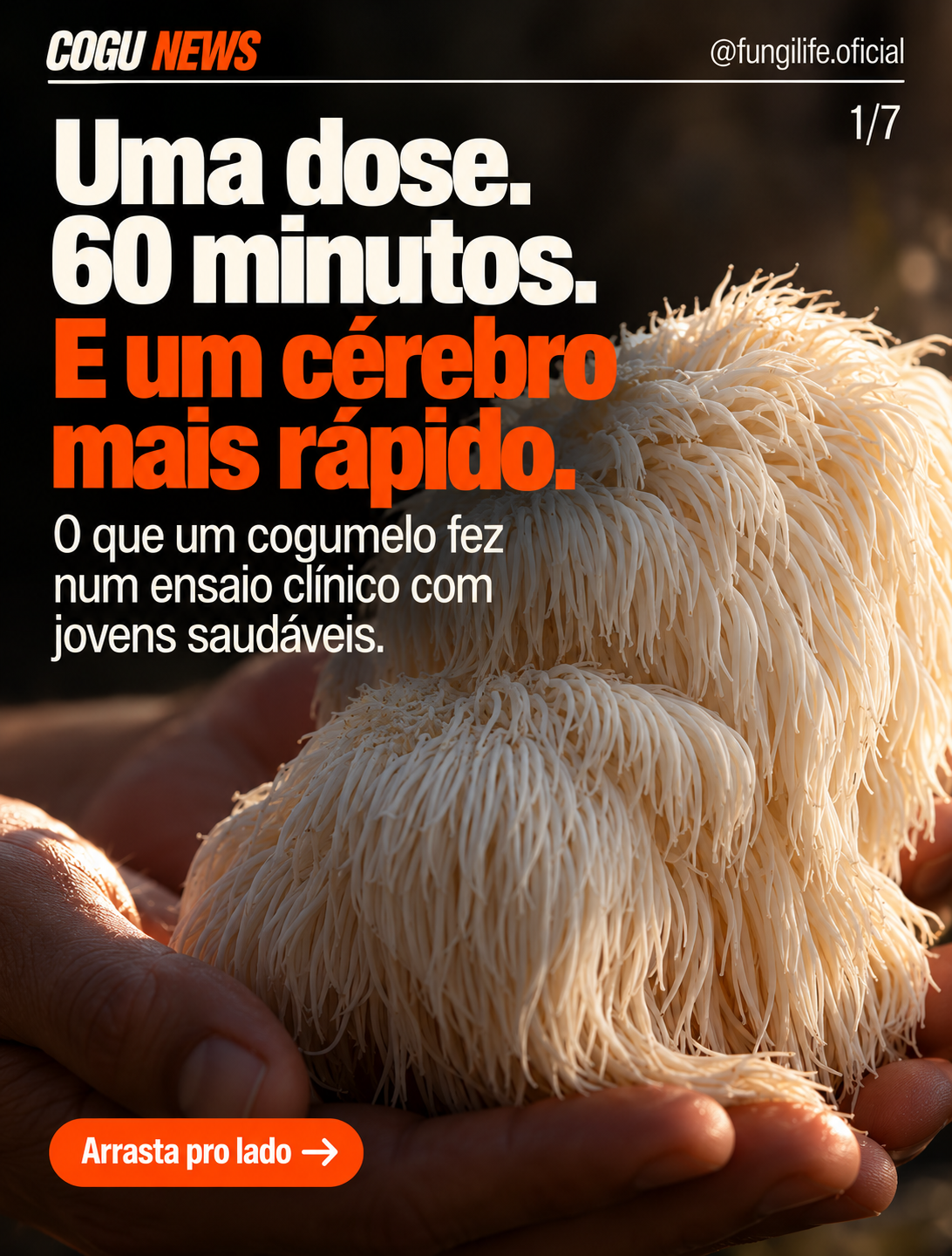 Uma dose, 60 minutos e um cérebro mais rápido: o que a Juba-de-Leão mostrou num ensaio clínico