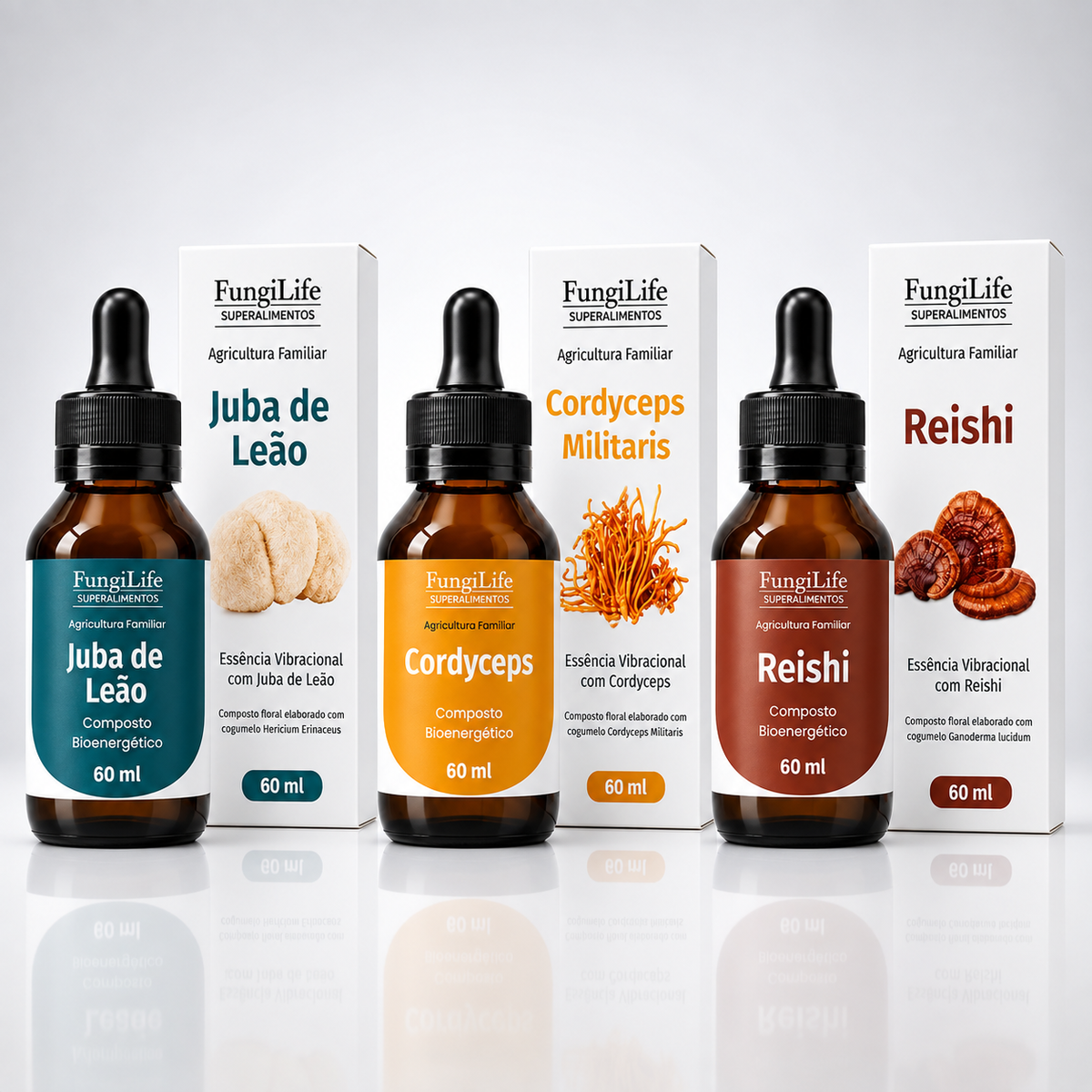 Kit Foco, Energia e Equilíbrio | Juba de Leão + Cordyceps + Reishi | Extrato Líquido 60ml