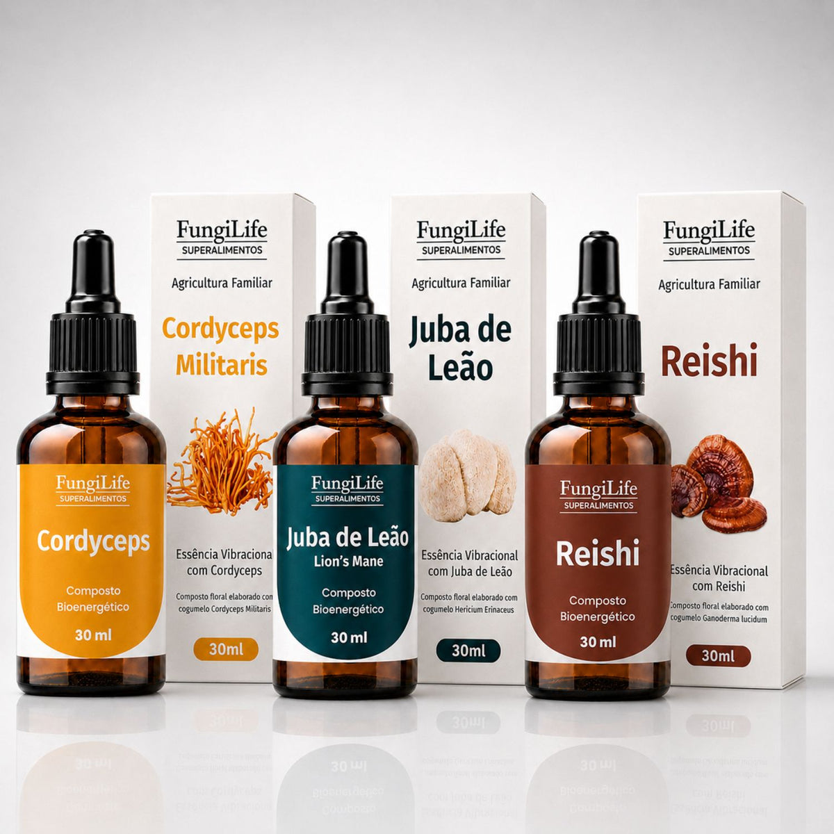 Kit Foco, Energia e Equilíbrio | Juba de Leão + Cordyceps + Reishi | Extrato Líquido 30ml